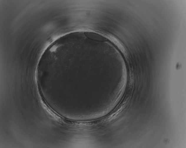 X0000094360958200711241934