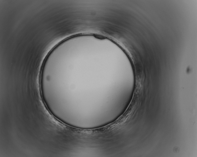 X0000094360959200711241934