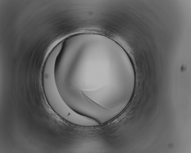 X0000094360960200711241934