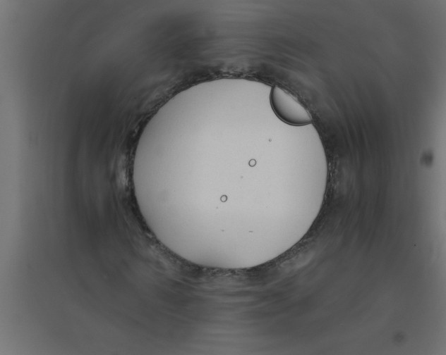 X0000094360962200711241934