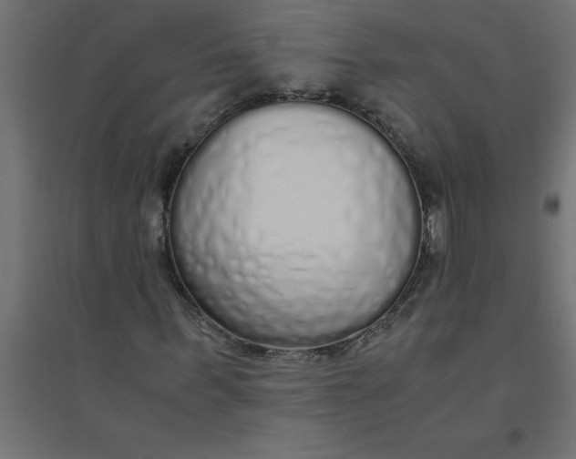 X0000094360963200711241934