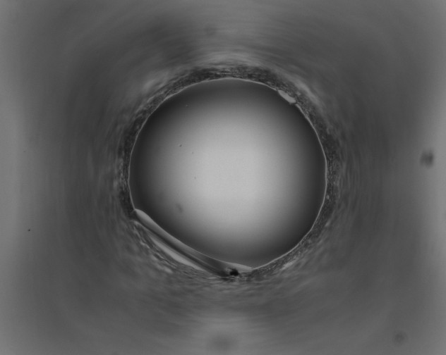 X0000094360965200711241934