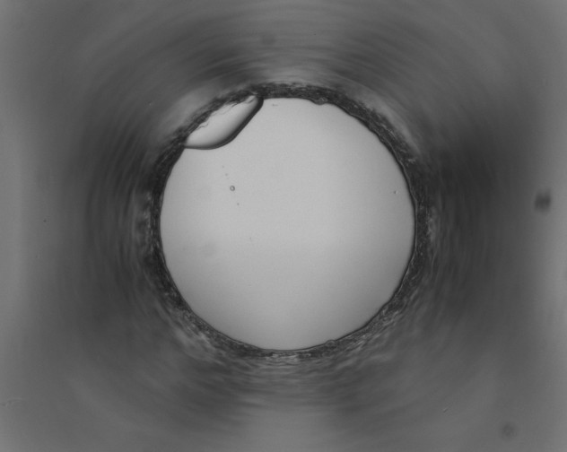 X0000094360968200711241934