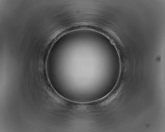 X0000094360969200711241934