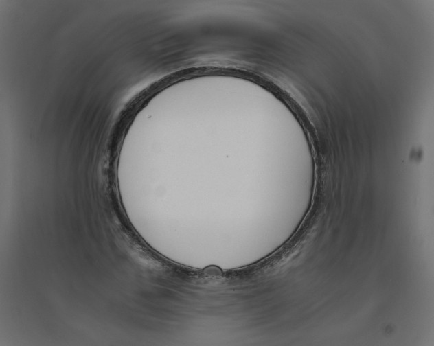 X0000094360971200711241934