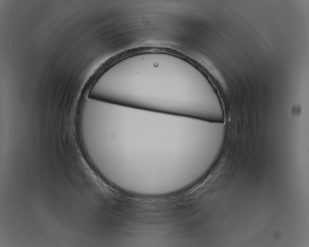 X0000094360972200711241934