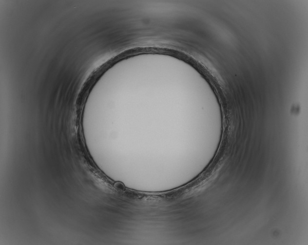 X0000094360974200711241933