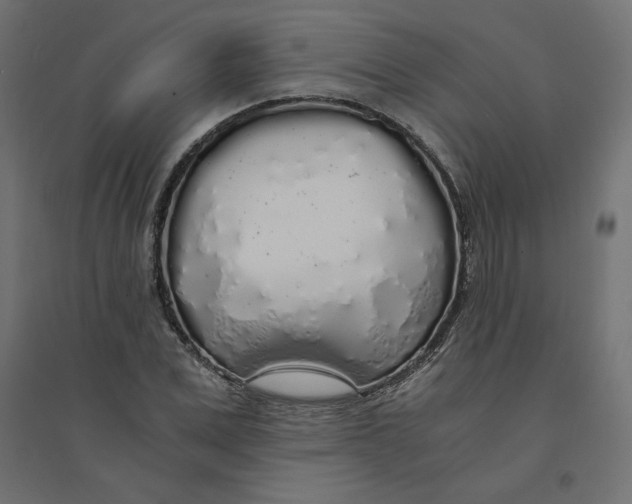 X0000094360975200711241933