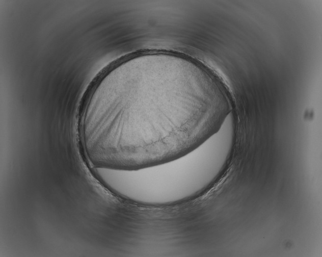 X0000094360976200711241933