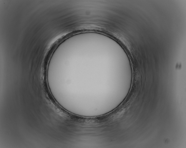 X0000094360979200711241933