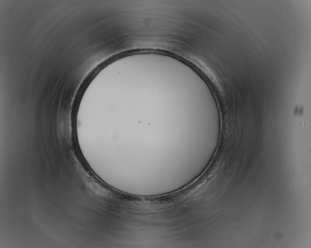 X0000094360980200711241933