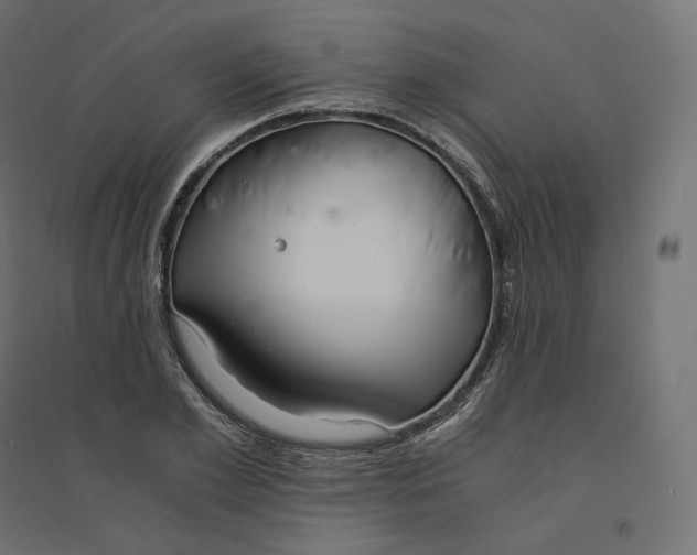 X0000094360981200711241933