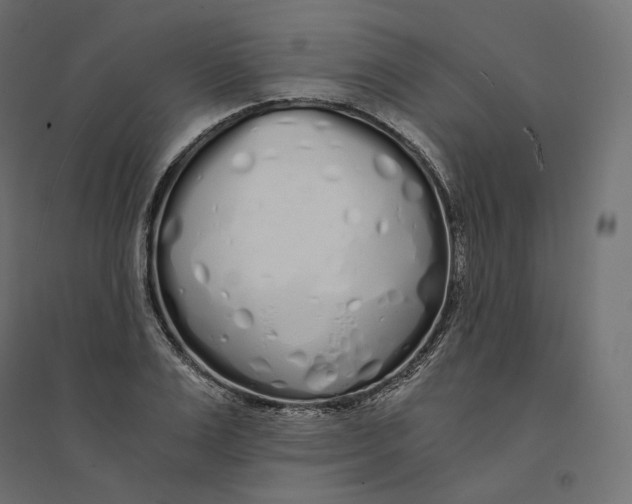 X0000094360983200711241933