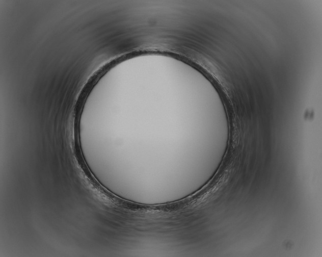 X0000094360984200711241933