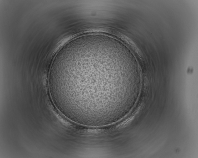 X0000094360985200711241933