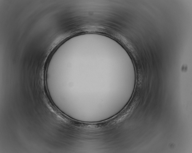 X0000094360986200711241933