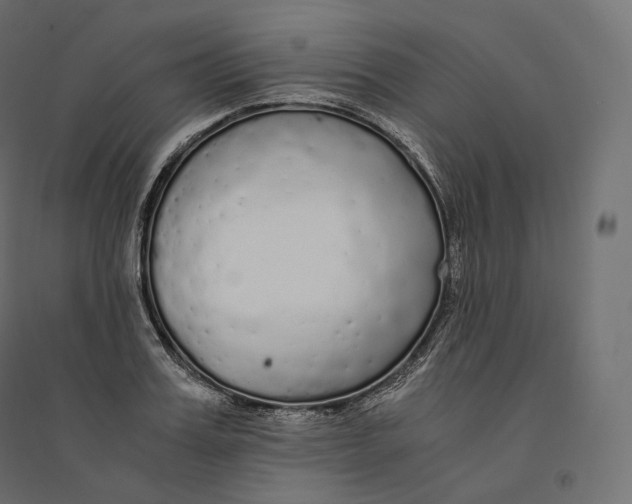 X0000094360987200711241933