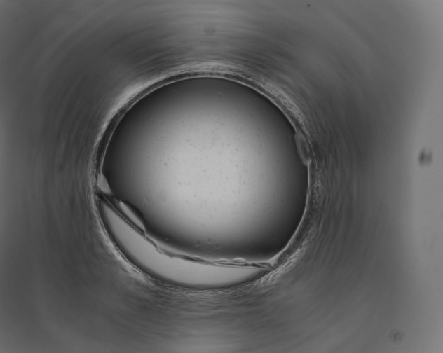 X0000094360989200711241933