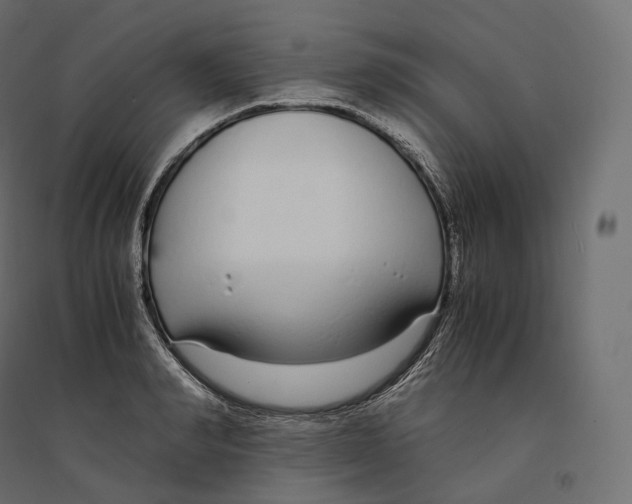 X0000094360990200711241933