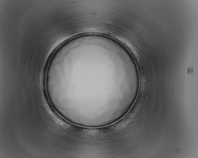 X0000094360991200711241933