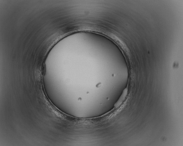 X0000094360993200711241933