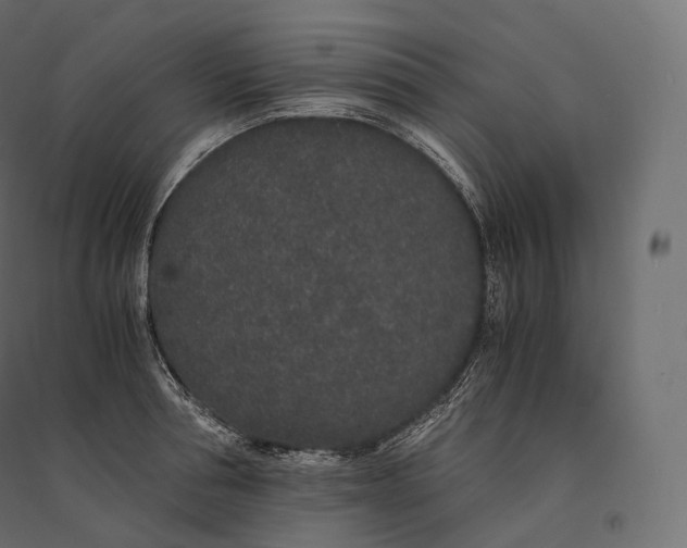 X0000094360994200711241933