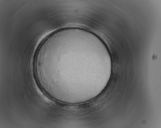 X0000094360995200711241933