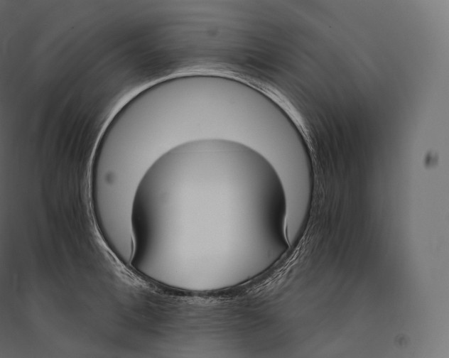 X0000094360996200711241933