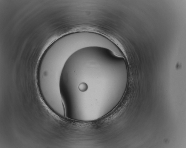 X0000094360997200711241933