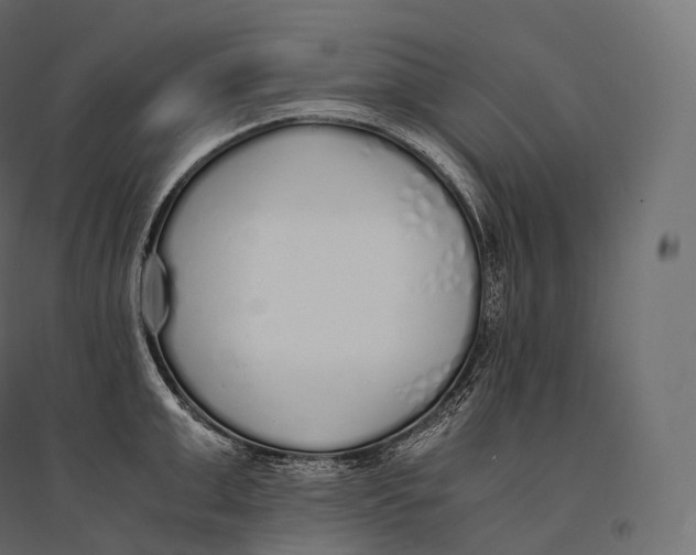 X0000094360999200711241933