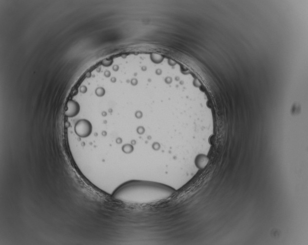 X0000094361000200711241933