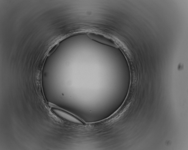 X0000094361001200711241933