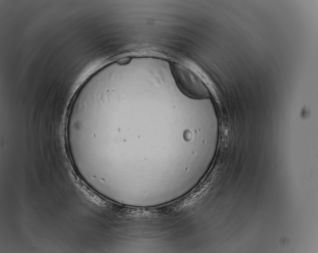 X0000094361002200711241933