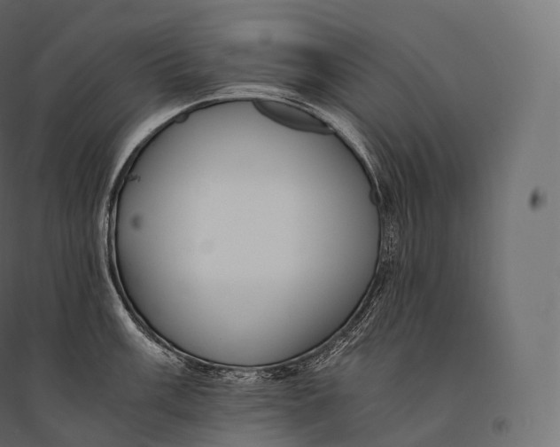 X0000094361003200711241933