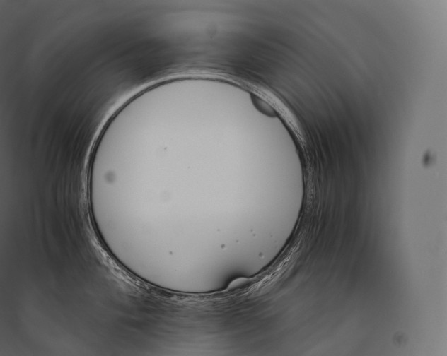 X0000094361004200711241933