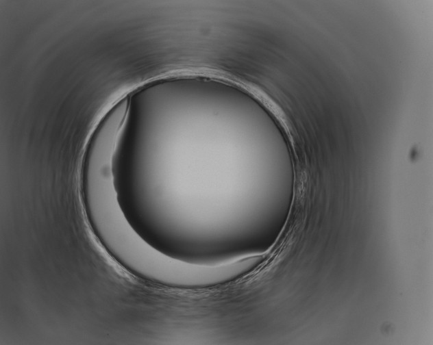 X0000094361005200711241933