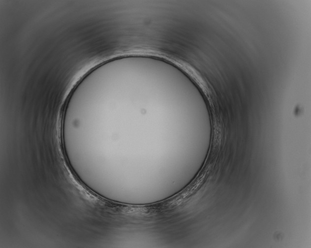 X0000094361006200711241933