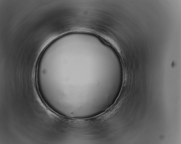 X0000094361007200711241933