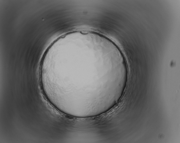 X0000094361008200711241933