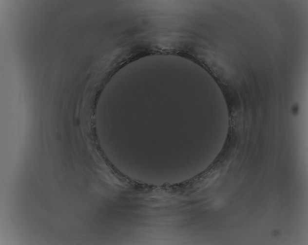 X0000094361009200711241932