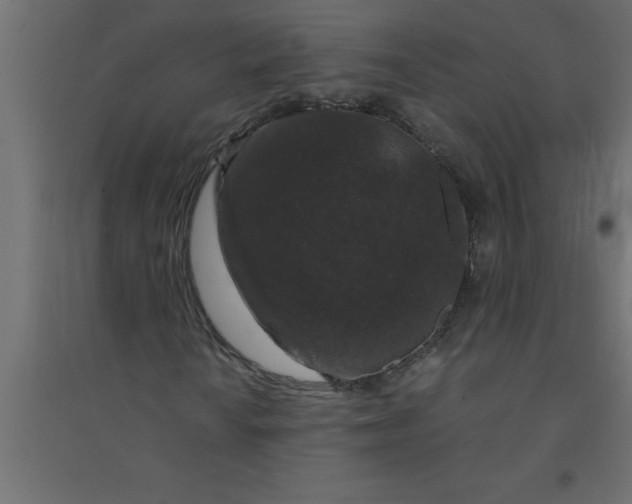 X0000094361010200711241932