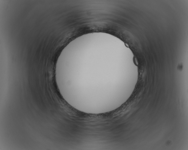 X0000094361012200711241932