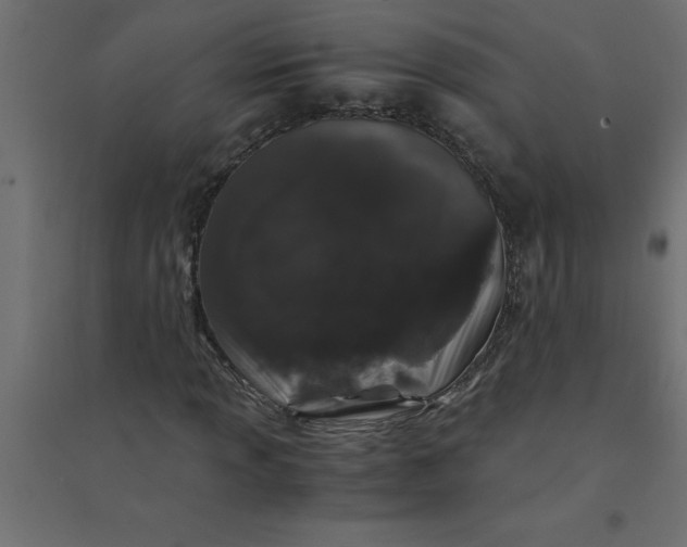 X0000094361013200711241932