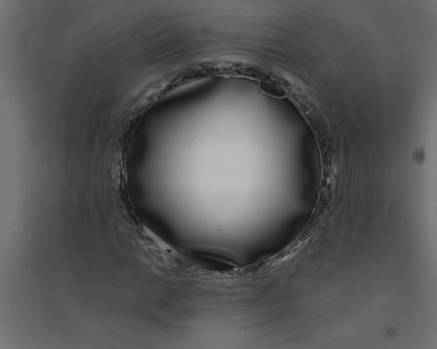 X0000094361014200711241932