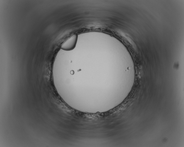 X0000094361015200711241932