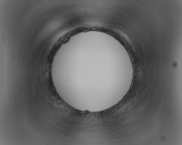 X0000094361016200711241932