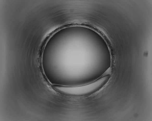 X0000094361018200711241932