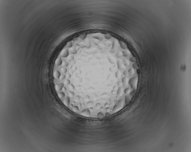 X0000094361019200711241932