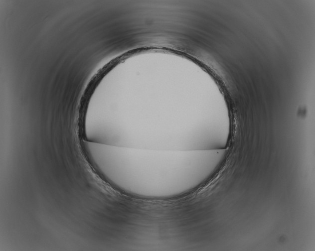 X0000094361020200711241932