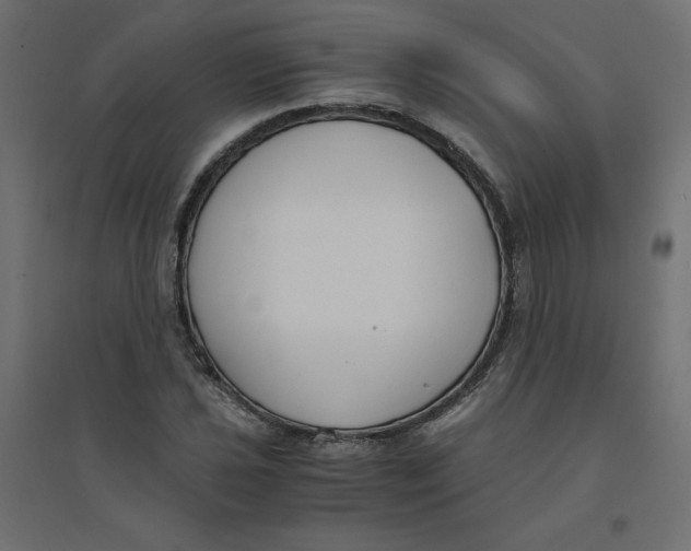 X0000094361021200711241932